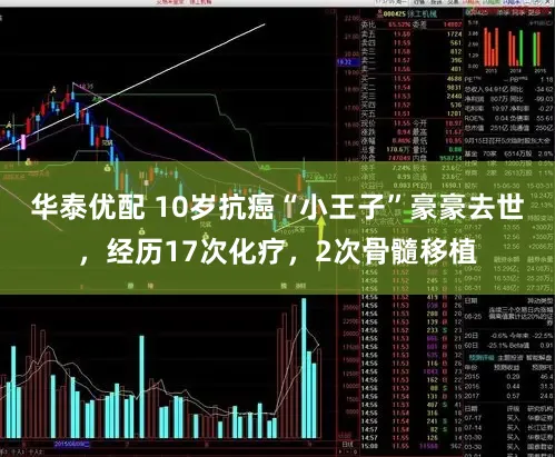 华泰优配 10岁抗癌“小王子”豪豪去世,经历17次化疗,2次骨髓移植