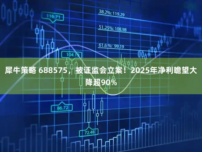 犀牛策略 688575，被证监会立案！2025年净利瞻望大降超90%