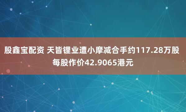 股鑫宝配资 天皆锂业遭小摩减合手约117.28万股 每股作价42.9065港元