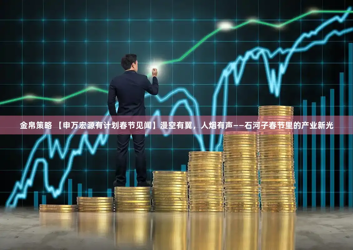 金帛策略 【申万宏源有计划春节见闻】漫空有翼，人烟有声——石河子春节里的产业新光