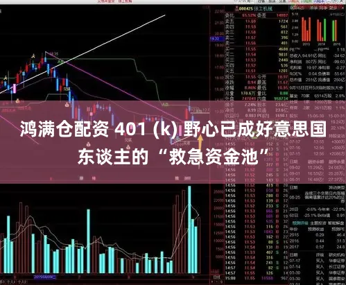 鸿满仓配资 401 (k) 野心已成好意思国东谈主的 “救急资金池”