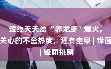 短线天天盈 “养龙虾”爆火，值得关心的不啻热度，还有圭臬 | 锋面挑剔