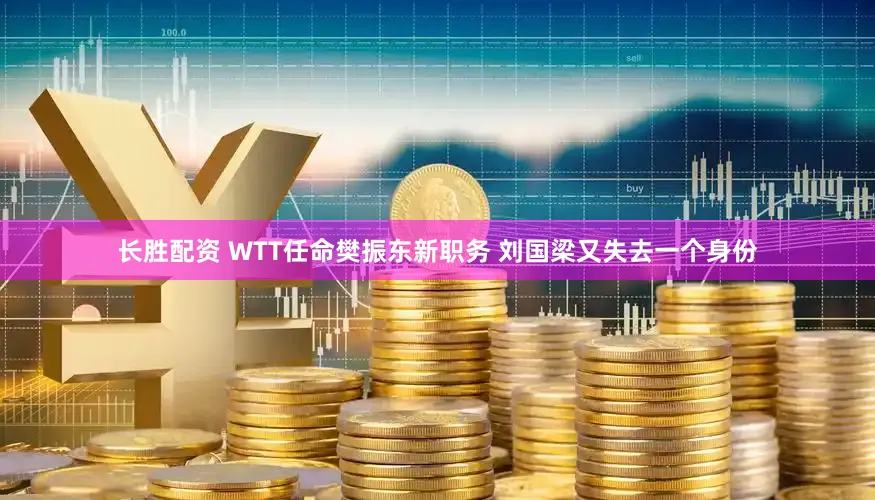 长胜配资 WTT任命樊振东新职务 刘国梁又失去一个身份
