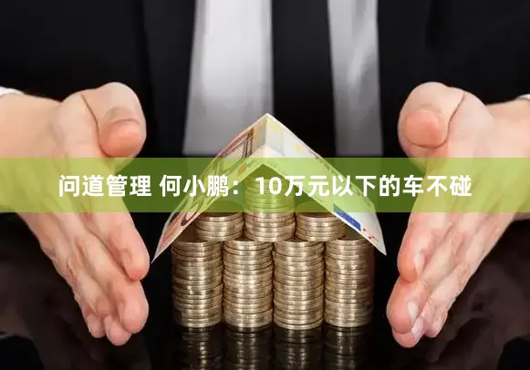 问道管理 何小鹏:10万元以下的车不碰