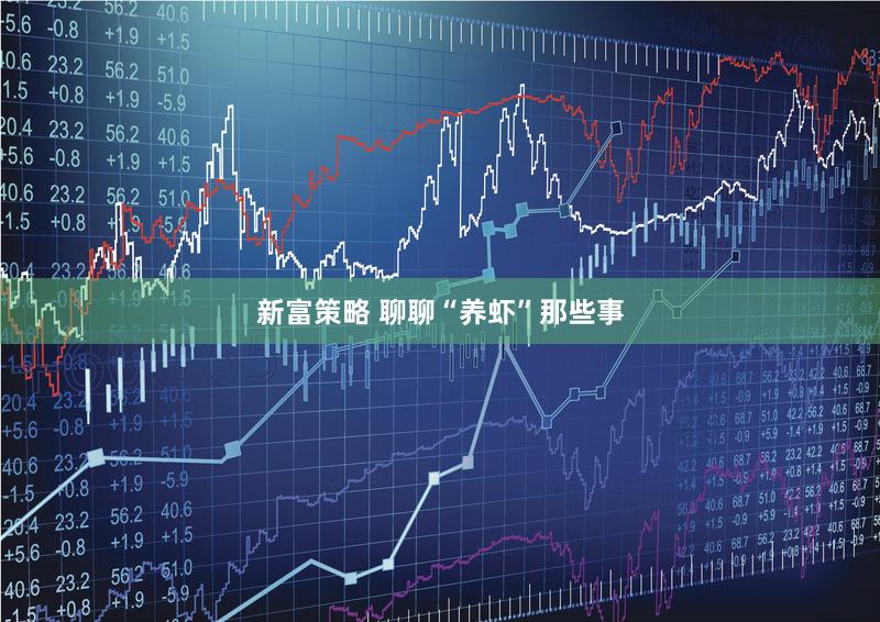 新富策略 聊聊“养虾”那些事