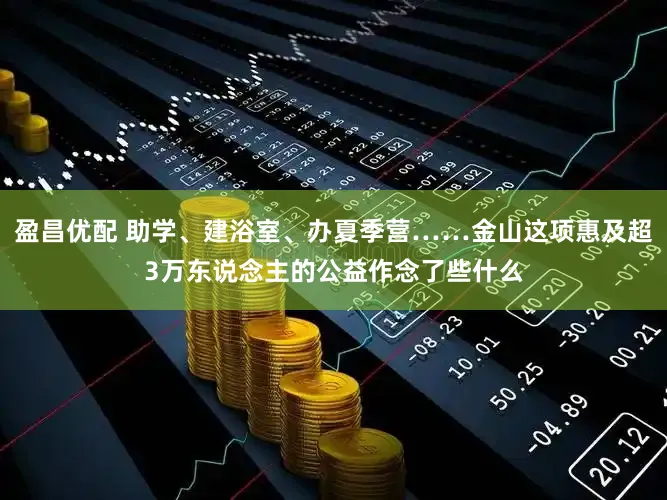 盈昌优配 助学、建浴室、办夏季营……金山这项惠及超3万东说念主的公益作念了些什么