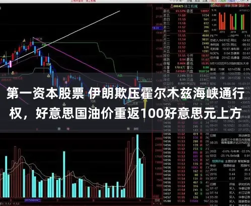 第一资本股票 伊朗欺压霍尔木兹海峡通行权，好意思国油价重返100好意思元上方