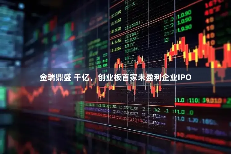 金瑞鼎盛 千亿，创业板首家未盈利企业IPO